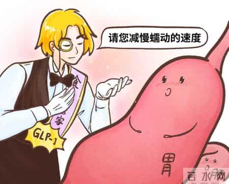 身体里自带的「减肥药」，可惜很多人不会用