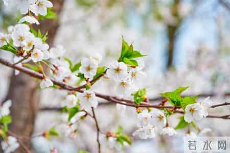 男女之间，一旦去过这4个地方，就是情人关系了