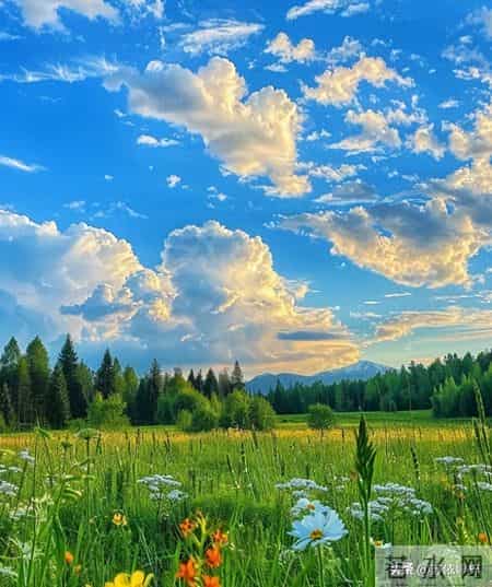 丧偶后别硬扛！这4个坑真的越踩越累，很多人都中招了