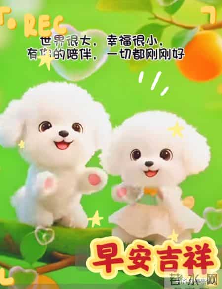 2026.01.30号周五早安祝福美图