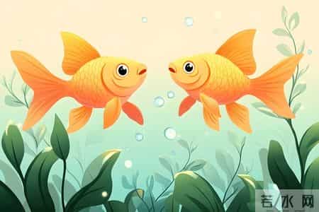 26年2月份星座红黑榜：新春启幕，顺势而为与静心修整