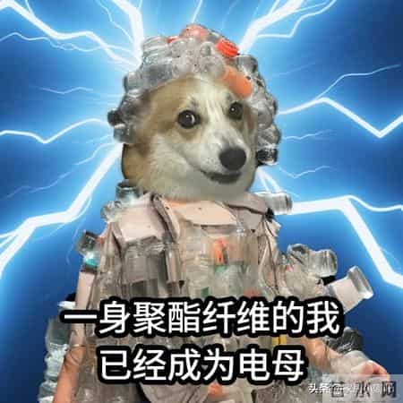 冬天不要买这7种“毛衣”，看着好看，其实很“坑”，纯属浪费钱