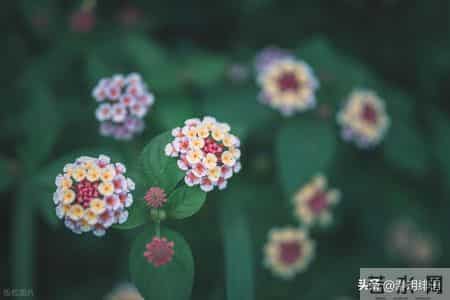 人的本性本质不会改变,如果已经看出一个人的恶,就要远离不再信