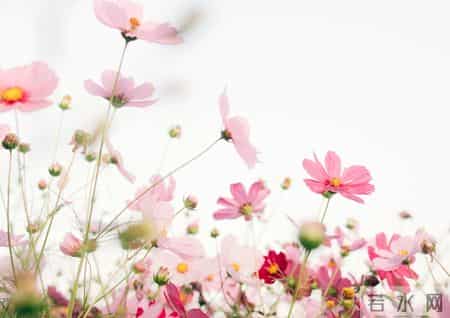 我生病住院让儿子垫付2万，儿子沉默儿媳说没钱，我心中有了决定