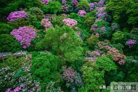 男性只要保持一种姿态，对女性具有极强吸引力