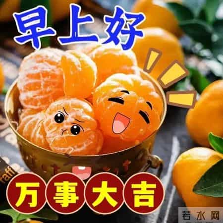 66张今天是腊月初十，送您漂亮的早安十祝福