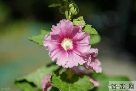 拿捏不了你，占不到你便宜的人，都会用恶意对你