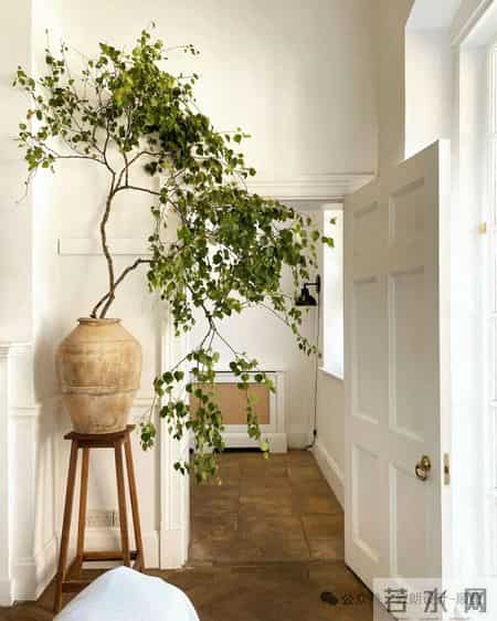 家里的高级感，一半是留白，一半是绿植。