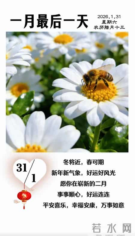 腊月十三早安文案合集|2026.1.31早安朋友圈美图