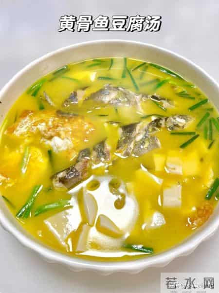 大补的鱼，不是草鱼鲫鱼，而是这3类，强骨骼增免疫，补钙强体质