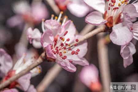 男人要治服一个女人，最有效的方式：两个字