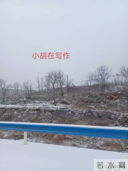 今天我光扫了扫自家门前的雪！我不愿意再去当一个盲目的好人！