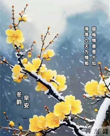 2026.1.29今日腊月十一早上好，周四祝福问候语，早安图片