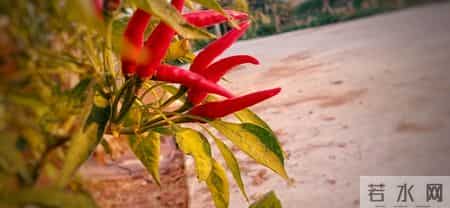 命里无福的女人，通常有这三个坏习惯，沾一个就够苦