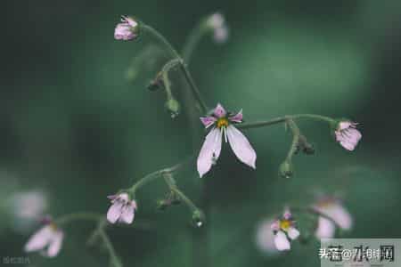 人的本性本质不会改变,如果已经看出一个人的恶,就要远离不再信