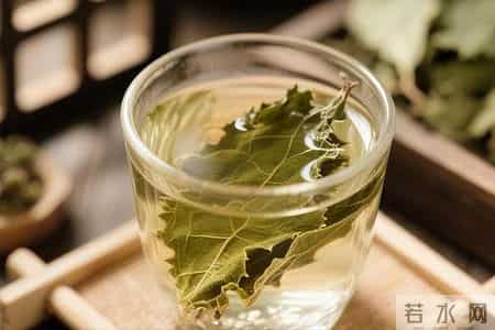 百名内分泌专家已证实:桑叶和血糖的关系,最好花点时间看看