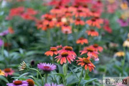 如果一个男人混到了六十岁，能拥有这3样东西。那绝对是人生赢家