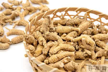 西洋参再次被关注！医生：老年人吃西洋参，不过多久或有6变化