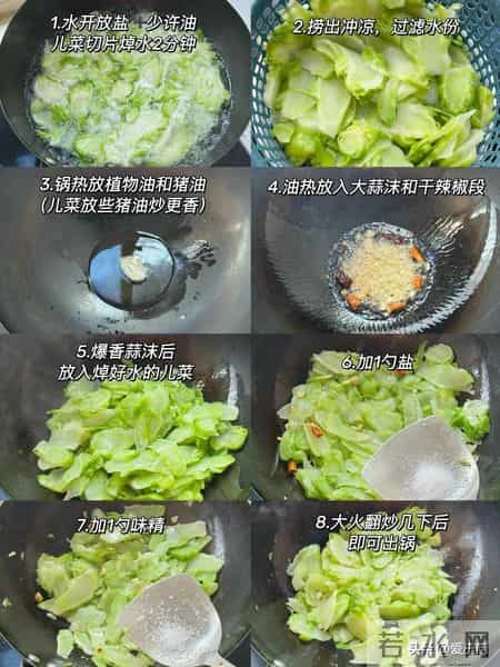 原来它是“推粪大王”!隔两天吃一次,排便顺畅,全身都轻松