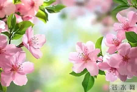 女人接吻时，有这“下意识反应”，说明她已对你“彻底沦陷”