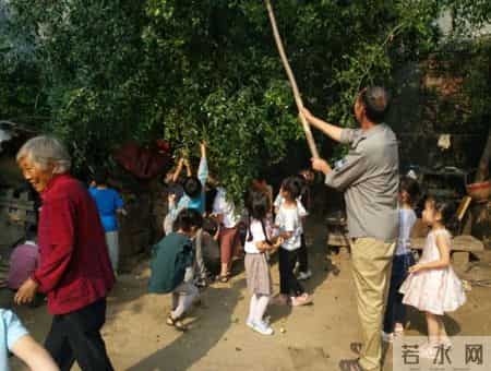 爷爷去世后，我家就再没回去过，出差路过，我发现院内竟有人居住