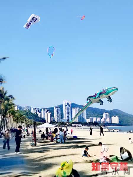 离婚后的单身女人（3）你有需要可以找我，我有需要可以找你