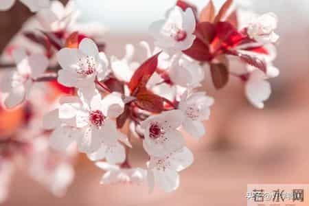 男人要治服一个女人，最有效的方式：两个字