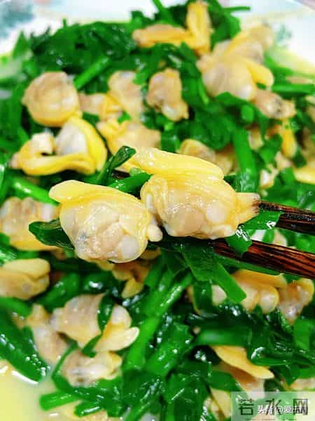 这个菜，越吃肚子越扁，清肠刮油，减肥排毒，建议40岁后常吃