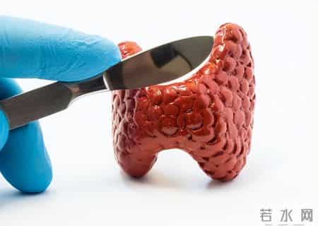 河南一56岁女子,长期坚持喝蒲公英泡水,后来身体怎么样了?