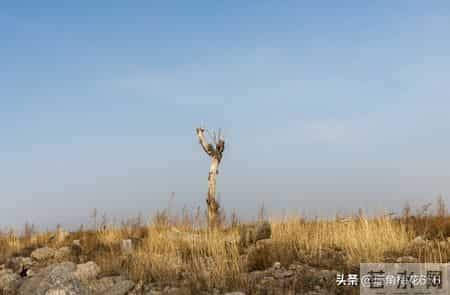 那年春节，一年不来往的小姑送来35元，她转身就走，母亲追了出去