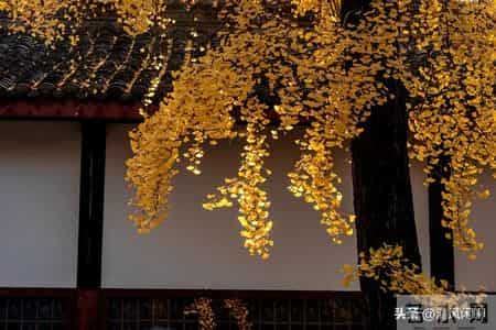 我发现男人到了60岁，如果还能占以下十条，绝对是人生赢家