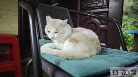 人到中年：请妥善经营自己的45-55岁……