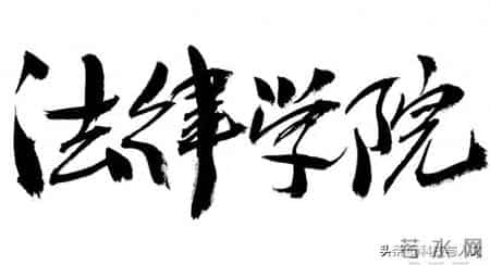 全网呼吁赵宏女士，咱先别谈权力的边界，谈谈道德的边界可好