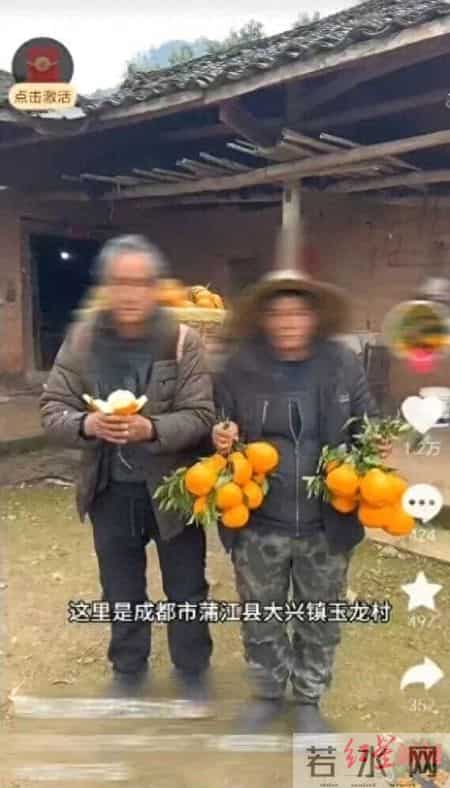 “蒲江耙耙柑”陆续上市!一主播卖假耙耙柑被警方刑事立案