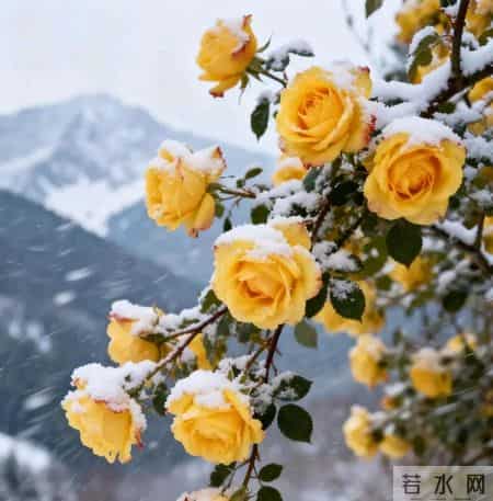 2026年高攀不起的四大星座女：今天你爱搭不理，明天让你望尘莫及