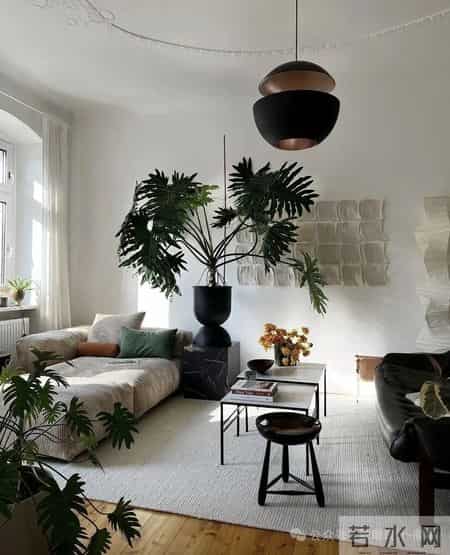 家里的高级感，一半是留白，一半是绿植。