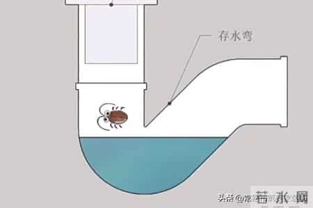 马桶不用时盖子掀开好还是关上好？很多人不懂，看完赶紧提醒家人