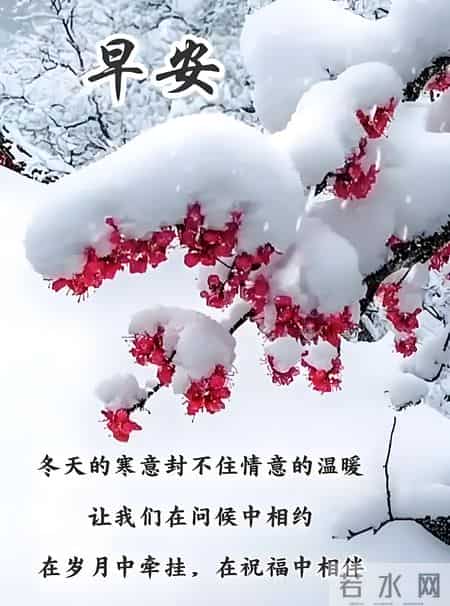 2026年1月27日，五九第二天至亲友问候祝福语图片，愿你财源广进