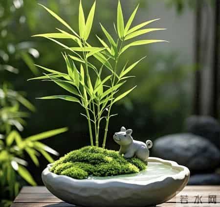 越用越旺的节节高升头像