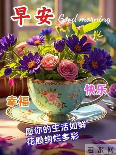 早安，新的一天，愿你所怀皆暖，所行皆安