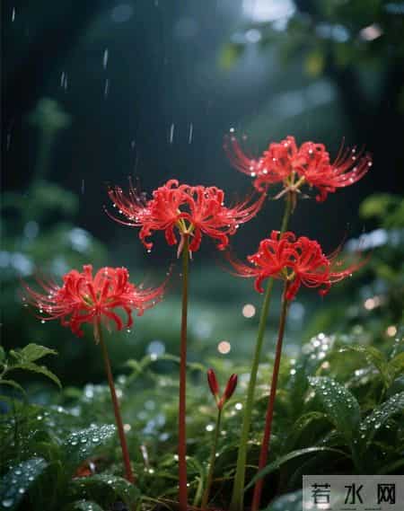 一辈子有钱花不完的五大星座