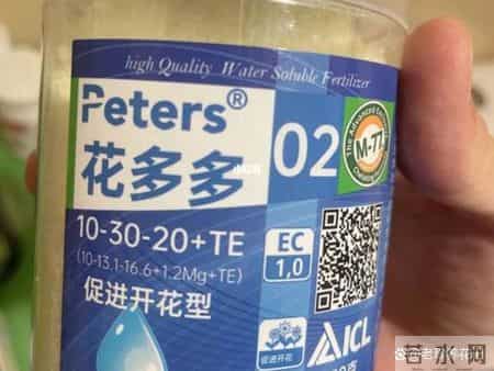 这3种花，打死都不能施肥，一喂就完蛋，根本救不回来