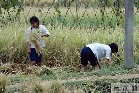 儿子今年48岁还不愿结婚，当晚我把他灌醉，有意撮合他和邻居女儿