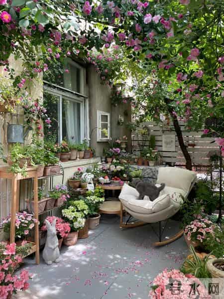 这才叫院子，你家的顶多算水泥地！