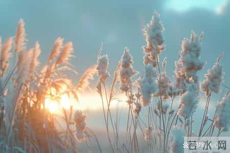 男人爱一个女人到极致，是会有以下“生理反应”的，装不出来