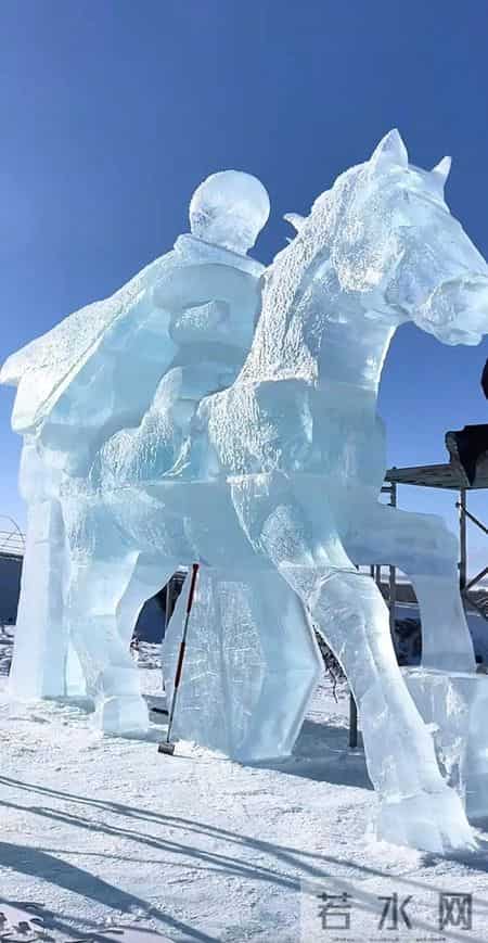 贺娇龙妹妹到云南迎接“娇龙月季”，该花将被安置在“娇龙厅”，花语是她生前最后的朋友圈