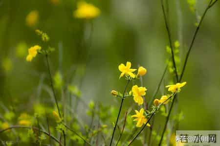 如果你已经过得不错，请远离穷恶，这不是轻视，而是人性的残酷