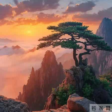 马年想旺？先换微信头像！这10款越用越有福气