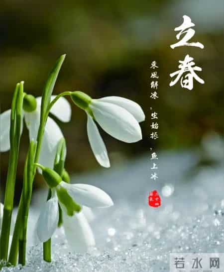 风送暖，花初绽，春立枝头，岁岁安澜——立春最值得收藏的文案