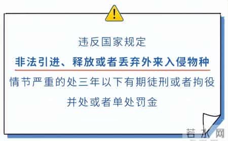 有哪些以前不算犯法的行为,现在全犯法了?